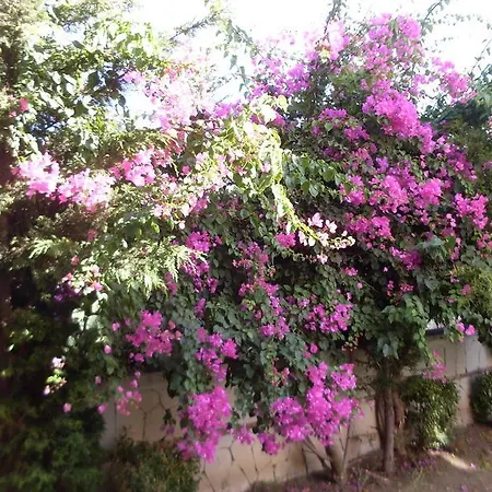 Jasmine Gardens Lägenhet